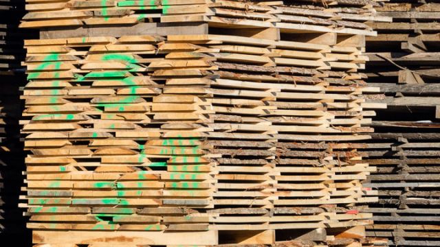 kostanj chestnut Kastanie zagan les Schnittholz boules buls Montpreis lumber